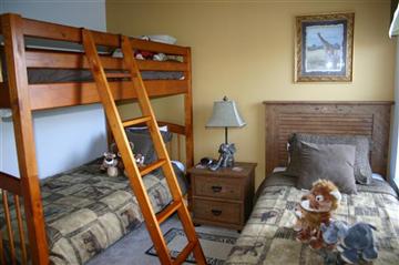 Safari Twin and Bunk